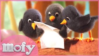 MOFY  Shy Little Bird  FULL EPISODE [upl. by Nitz]