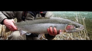 Catching More Steelhead Episode 1  Fundamentals Of Spey Casting [upl. by Tace]