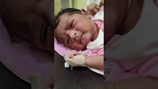 Newborn blood sample cutebaby newbornbaby newbirth viralbaby viralvideo shorts [upl. by Rasecoiluj986]