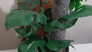 Monstera en fomi sin molde La hora del fomi con Irma [upl. by Seagrave]