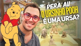 5 Coisas Sobre O Ursinho Pooh Que Você Não Sabia 🐻🍯🐝 [upl. by Amadus504]