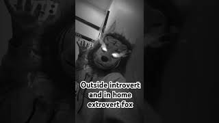 Introvert and extrovert fox lyrics aesthetic song music 🦊 [upl. by Lindsay]