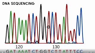 History and development of Microbial Genetics and genetic tools [upl. by Iccir]