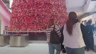 Eatons Centre Downtown Toronto [upl. by Netnilc]