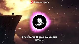 chiweenie mrithinatakavisualiserft pro Columbus [upl. by Oballa]