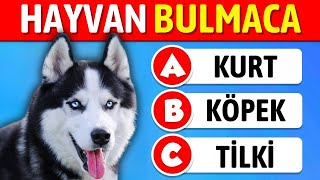 Hayvanı Tahmin Et  🐶🐱 Hayvan Bilgi Yarışması 🧠 Hayvan Testi [upl. by Zamir]