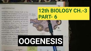 Class 12 biology chapter 3part 6 gametogenesisoogenesisby study with farru [upl. by Leah]