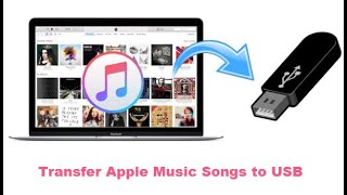 Wie kann man Apple Music auf USB Stick kopieren [upl. by Gatian]