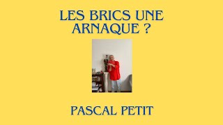 Les BRICS [upl. by Sille]