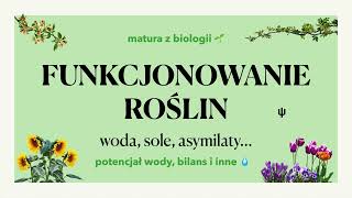 314  Funkcjonowanie roślin  woda sole asymilaty 💧 matura z biologii 📕 liceum [upl. by Kelleher331]