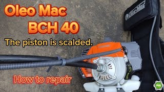 Oleomac BCH 40 piston problemhow to fix brushcutter [upl. by Ahsinahs]