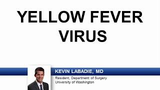 USMLERx Express Video of the Week Yellow Fever Virus [upl. by Enirroc]