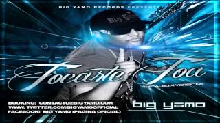 Big Yamo  Tocarte Toa Electronica [upl. by Acsisnarf]