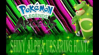 LIVE Pokemon Legends Arceus Shiny Alpha Ursaring Hunt [upl. by Uahc]