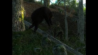 theHunter Classic  SchwarzBär Folge31 Schoko gewünscht Blond bekommen Teil1 [upl. by Haeli]