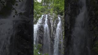 Boyana Waterfall waterfall vitosha bulgaria [upl. by Verna245]