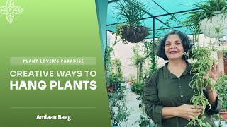 Plant Lovers Paradise Creative Ways to Hang Plants इन अलगअलग तरीकों से पौधों को हवा में लटकाऐं [upl. by Renell955]