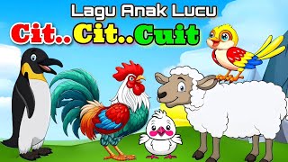 Lagu Anak Populer  Cit Cit Cuit Burung Bernyanyi Anak Kambing Saya Pok Ame Ame Cilukba [upl. by Holub964]