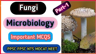 Fungi mcqs part1  microbiology mcq  PPSC FPSC MDCAT NEET NTS Biology Lec biology [upl. by Acinorej]