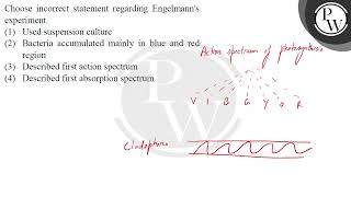 Choose incorrect statement regarding Engelmanns experiment [upl. by Hannus]