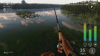 Fishing Planet Everglades Farming Bass Tips [upl. by Ayiak]