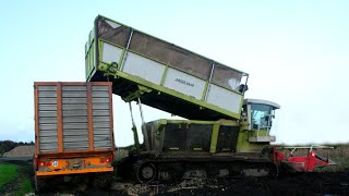 HD Kettenhäcksler Einsatz in Ostfriesland 2012 [upl. by Hadley806]