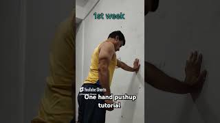 One hand pushup tutorial ✅✅😱 shorts [upl. by Nomed]