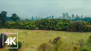 Flying and Walking to Ibirapuera Park São Paulo  4K [upl. by Thea]