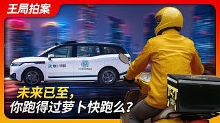 未来已至，你跑得过萝卜快跑吗？｜无人驾驶｜萝卜快跑｜武汉 ｜网约车｜人工智能｜百度｜李彦宏｜马斯克｜特斯拉｜出租车司机｜王局拍案20240711 [upl. by Jadda]