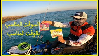 انصحكم بهذا السوفت Soft Bait Fishing [upl. by Mervin]