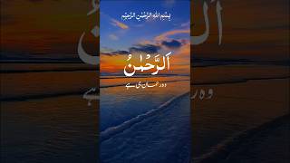 Surah Rahmanheart warming recitation quranrecitation [upl. by Ladew]