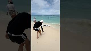 Compré un Objeto que Detecta Objetos en la Playa 🏝️ [upl. by Syhr664]