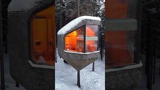 Winter Treehouse Views You Won’t Believe shorts [upl. by Henning]