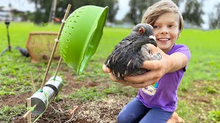 We Trapped Pigeons For Urban Survival Food [upl. by Medarda]