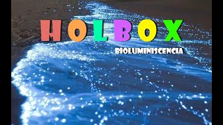 HOLBOX BIOLUMINISCENCIA [upl. by Aicinod]