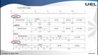 GEOTÉCNICA 3 CLASSIFICAÇÃO DOS SOLOS 01 [upl. by Rillis351]