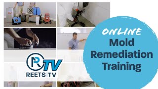 What Is Included In The Online Mold Remediation Training [upl. by Wendall208]