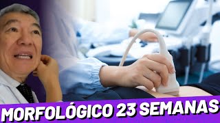 MORFOLÓGICO DE 23 SEMANAS [upl. by Eenitsed]