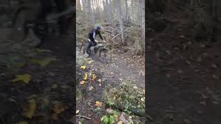 Session Evo bike Park 🔥🔥 mtbenduro dh [upl. by Campagna]