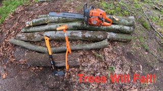 Trees VS Husqvarna 592XP [upl. by Nivle718]