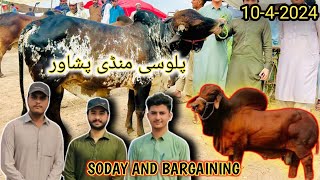 Peshawar Palosi Mandi Rates Updates And Bargaining 10 May 2024 Youtubers se mulaqat Mandi Pakistan [upl. by Hewie]