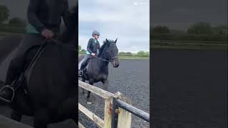 Flatwork lesson 🙂‍↕️ [upl. by Aneed380]