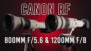 Canon R7  RF800 f11  1280mm FOV Is It a Goer [upl. by Beutler]