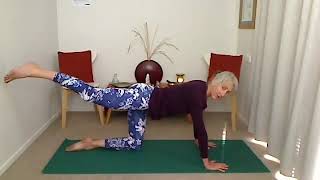 Lower Back  Strengthen amp Stretch  30mins [upl. by Felicity298]