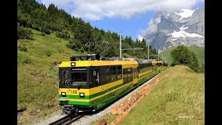 Wengernalpbahn im Sommer 2015  Neue Panoramazüge im Einsatz [upl. by Rese789]