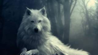 Epic Music  White Wolf Spirit [upl. by Bick393]