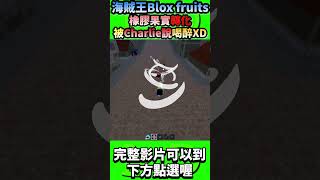 ROBLOX blox fruits橡膠果實轉化後Charlie說是喝醉😂！ 《Blox fruits》 [upl. by Narod]