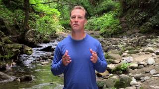 Introduction to Qigong DVD preview by Lee Holden YMAA [upl. by Kirbee378]