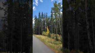 EPIC Banff Alberta Canada travel nomad vanlife nature mountains banff subscribers sky [upl. by Small396]