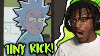 TINY RICK TAKEOVER  Rick and Morty Season 2 Episode 78 REACTION [upl. by Judi114]